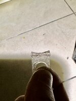 IMG_2645.jpeg IMG_2645.jpeg