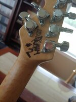 #2 Pussy Lukather.jpg