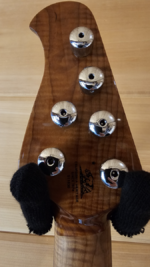 Kaizen Headstock Back - Resized.png Kaizen Headstock Back - Resized.png