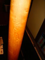 DSC01395.jpg