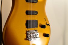 EBMM Luke True Gold BFR 007.jpg