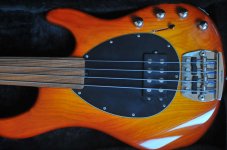 musicman004.jpg
