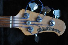 musicman008.jpg