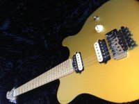 goldie.jpg