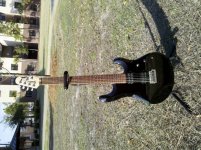 IMG_20110221_153949.jpg