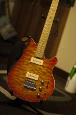 ernie ball 015.jpg