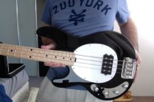 StingRay.jpg