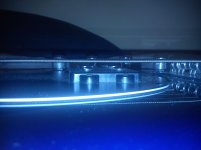 DSC_0241[1].jpg