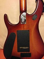 ImageUploadedByTapatalk 21369182005.942070.jpg