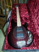 My new Musicman Stingray.jpg