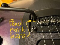 IMG_5326.jpeg