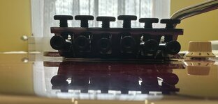 IMG_9765.jpeg