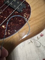 BROKEN A STRING 1.JPG