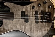 IMG_4111.jpeg