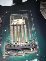 IMG_1700.jpeg