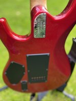 IMG_1586.jpeg