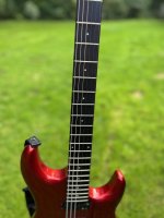 IMG_1580.jpeg