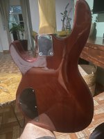 IMG_1261.jpeg IMG_1261.jpeg