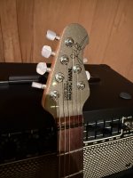 IMG_0286.jpeg IMG_0286.jpeg