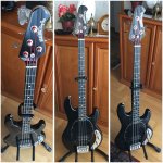 Stingray_Ebony.jpg