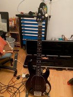 BAss_1.jpg