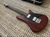 Albert Lee Reverb Photo.jpeg