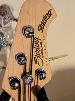 Musicman headstock.jpg