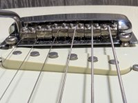 PXL_20260220_115621522.MP~2.jpg PXL_20260220_115621522.MP~2.jpg