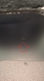 Spot.jpeg Spot.jpeg