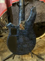IMG_6977.jpeg