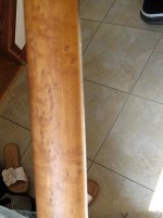 L3neck2.jpg