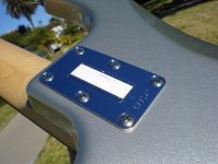 Stingray5.jpg