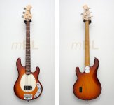 101_Stingray_3EQ-main.jpg