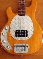 Stingray 2.jpg