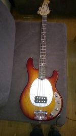 Musicman 2024 stingray setup