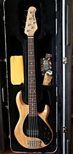 STINGRAY 5.jpg