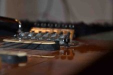 EVH1.jpg