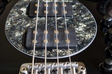 Fretless-2.jpg