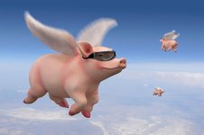 pig-flying.jpg