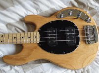 stingray3.jpg stingray3.jpg