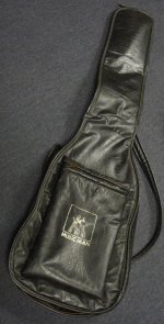 gig bag.jpg