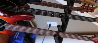 FrettedvsFretless_zpsba0b420a.jpg