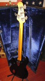 Blue case.jpg