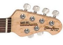 Perfect Y2d headstock.jpg