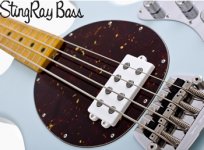 ccstingray4_03.jpg