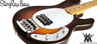 ccstingray4_04.jpg