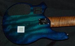 BONGO6%20HH%20LTD%20NEP%20BLUE%20MAP%20F43622%20BAK.jpg