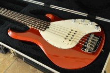 New Music Man Stingray 5 (2).jpg