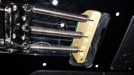 20150301_152946.jpg