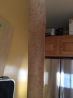 IMG_0485.jpg